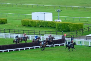 HBC Day Out at Cheltenham Racecourse