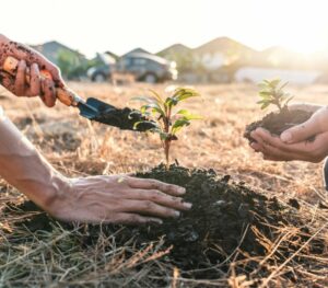 carbon-positive-courier-project