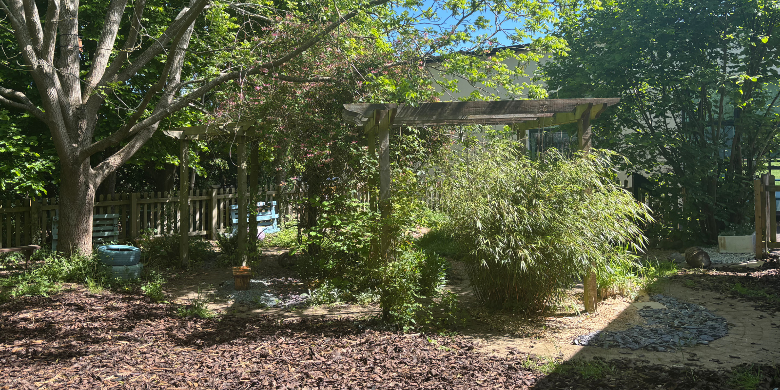 Local School’s Carbon Neutral Garden Blooms Thanks to HBC Logistics: Exciting Progress Update